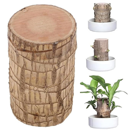 Brazilian Lucky Wood Buy 1 Get 1 Free